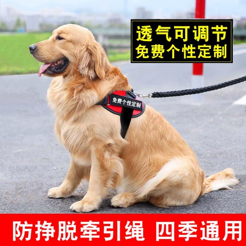 Аляска Huskamaye Dog Tract Tract Tract Roving Bess Bess stear stever Регулируемая цепь собаки большая собака