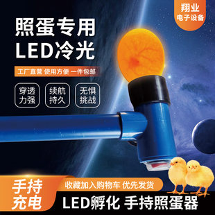 Ручной устройство для прокалывания яиц Egger с подсветкой и функцией инкубации