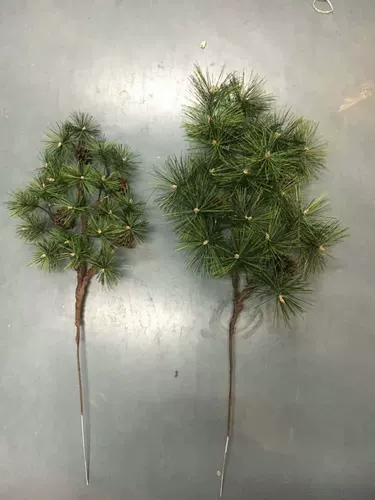 Моделирование сосновых ветвей с фруктами мини -маленькие сосновые ветви зеленые деревья листья дерево