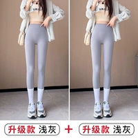 Светло -серый+светло -серый [высокое обновление]