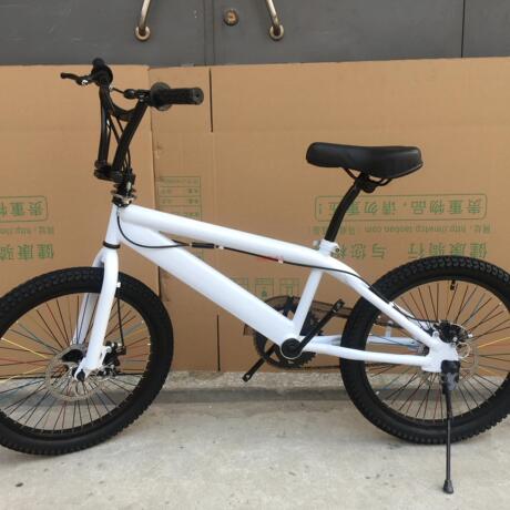 新品马威特猎风者骑行长距自行表演马花式特技bmx小轮车包邮纯白