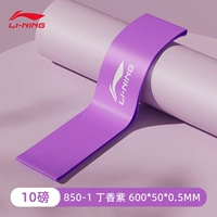 Фиолетовый 10 фунтов [Начало работы базовое маленькое статус]