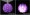 紫色23CM直径 不带灯泡