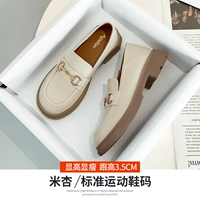 531T082M смешивание [высота каблука 3,5 см]