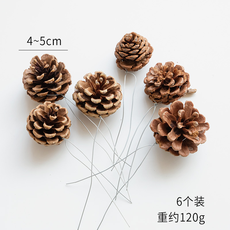 Beauty Tower (pack of 6)