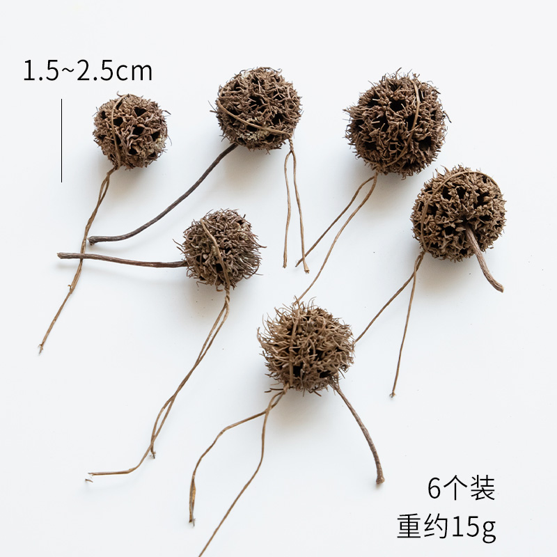Passepartout (pack of 6)