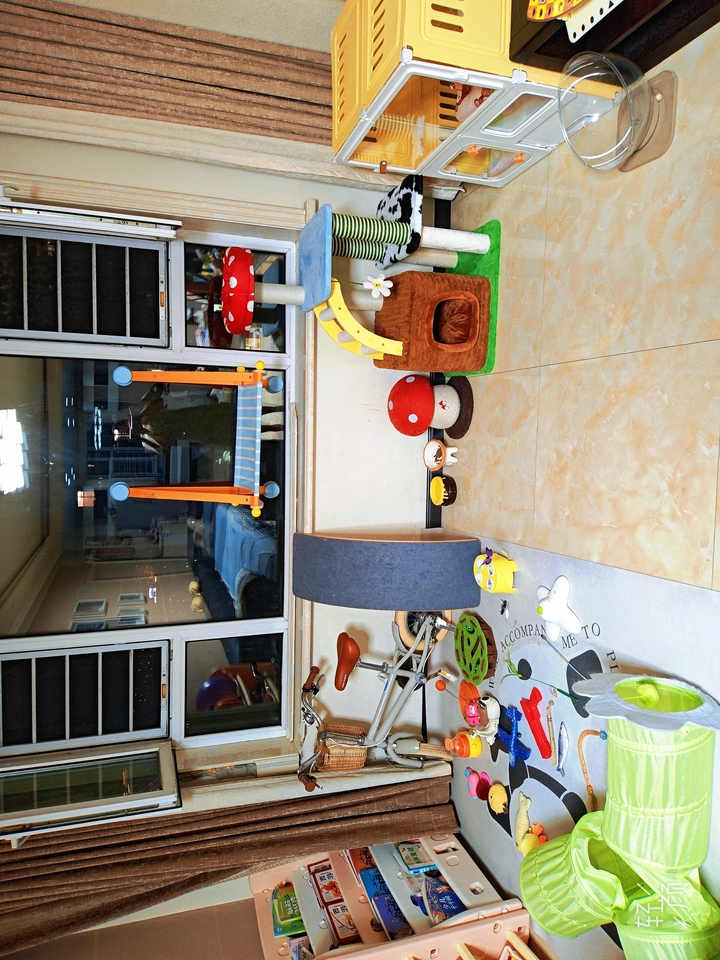 Tmall buyer photo