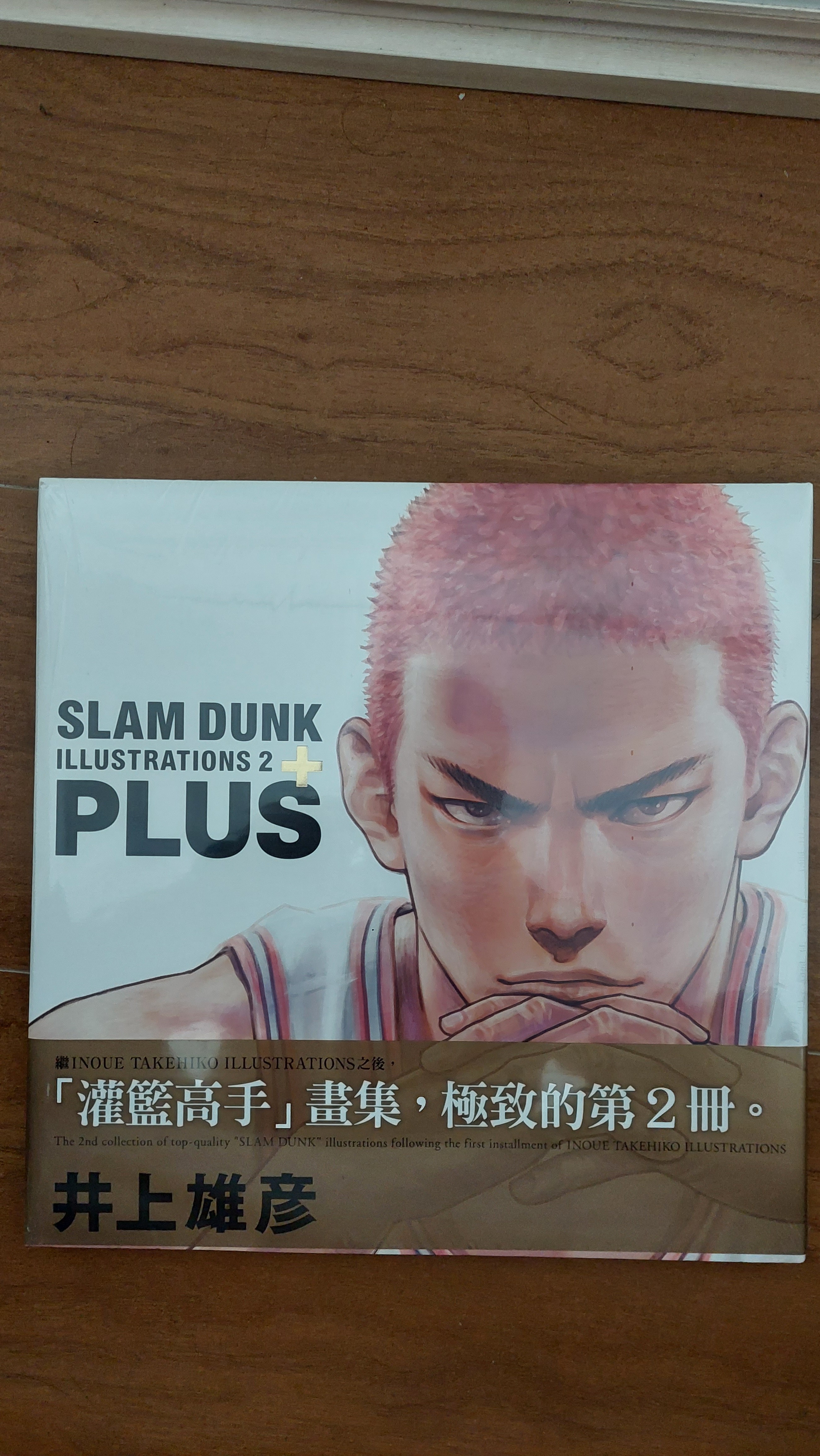 定番 PLUS SLAM DUNK ILLUSTRATIONS2 井上雄彦 ecousarecycling.com