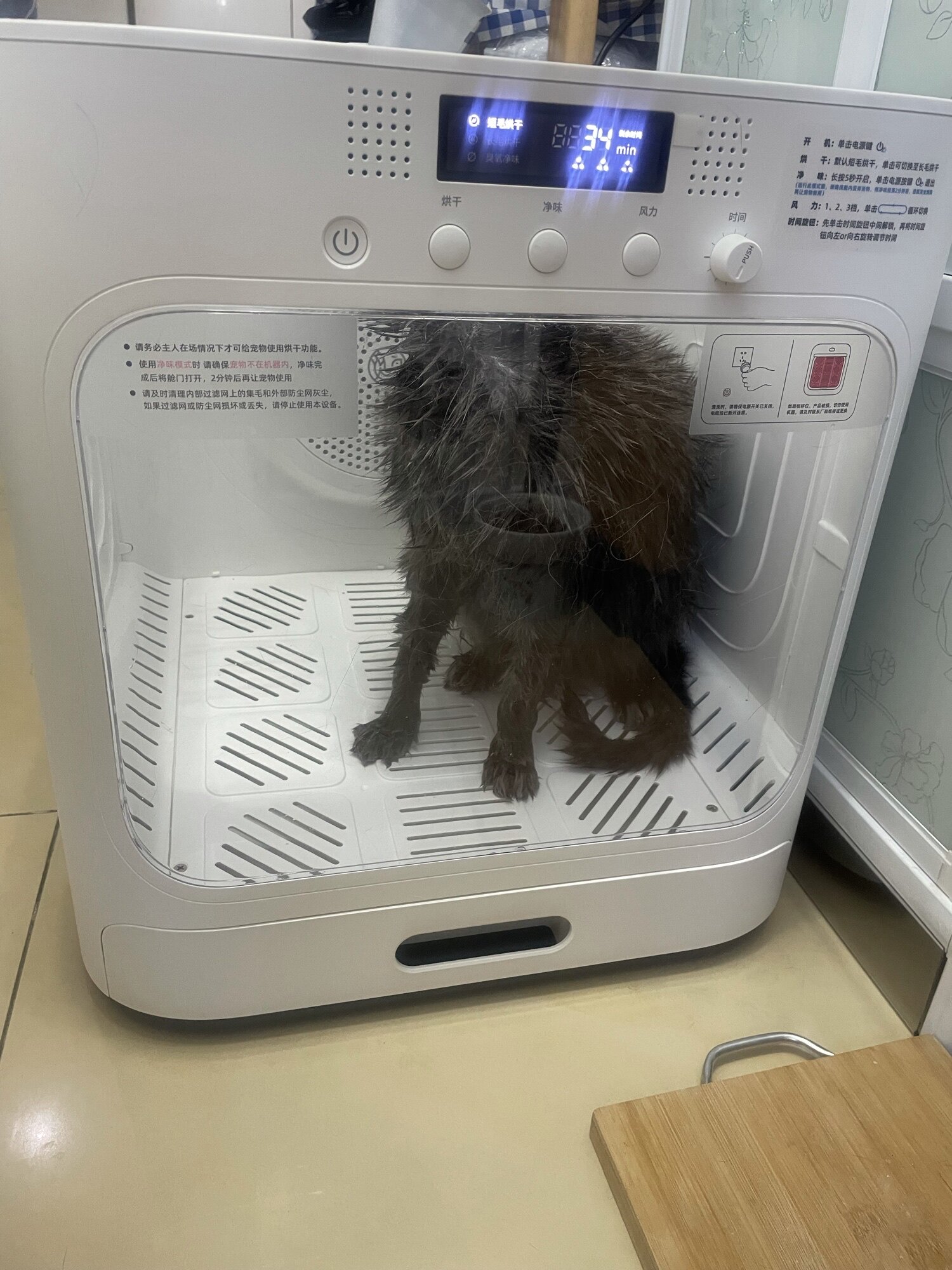 鸟语花香自然风自动宠物烘干箱猫咪洗澡烘干机家用小型吹风吹水机