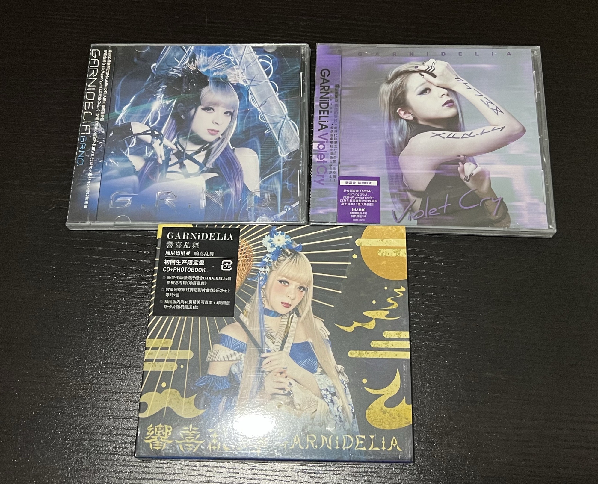 最終セール価格」 GARNiDELiA ambiguous 初回限定盤DVD付 CD 新品未