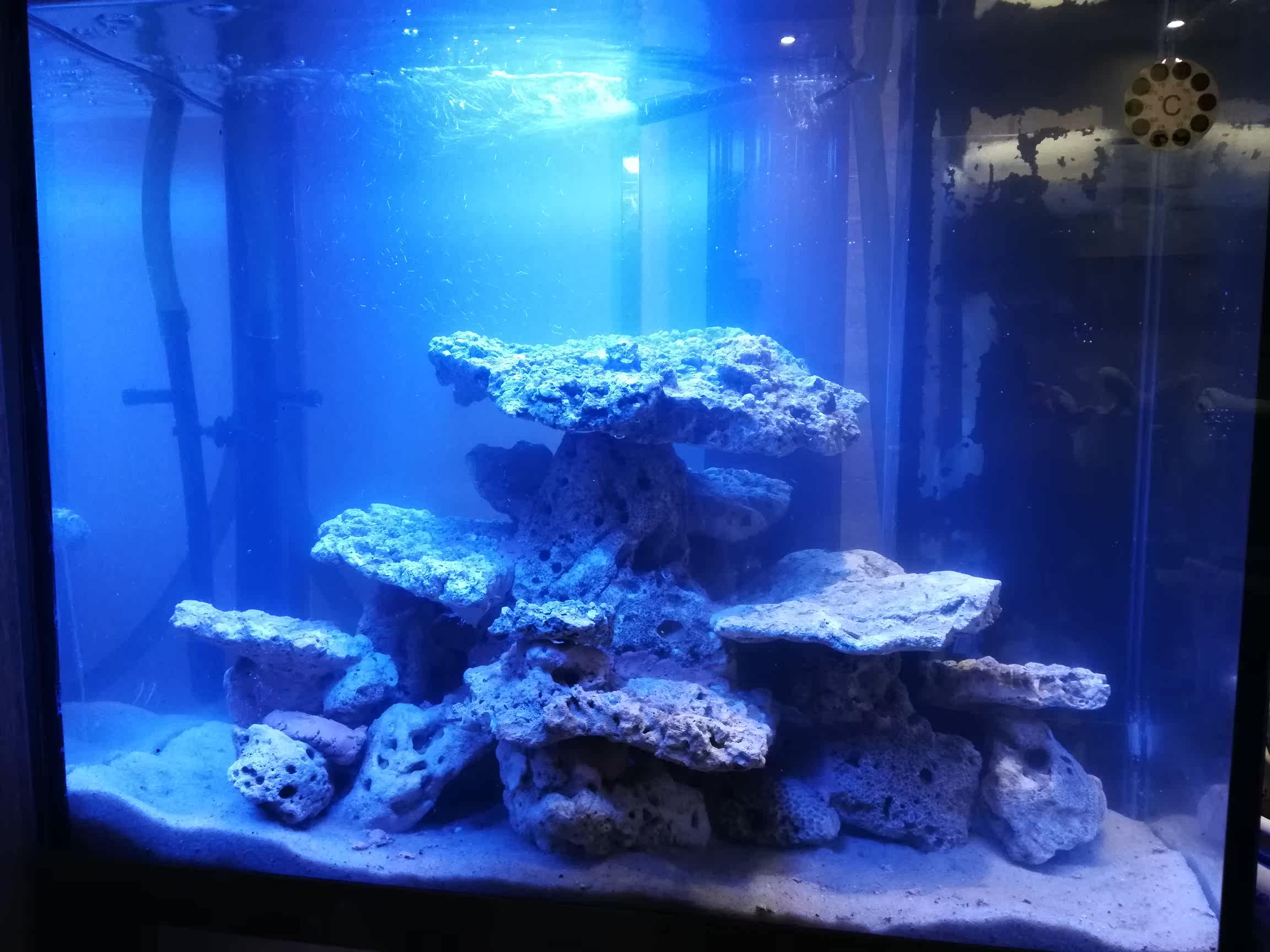 三湖魚缸佈景造景底砂鬆皮石珊瑚礁死石水族箱包郵淡海水青龍沙子