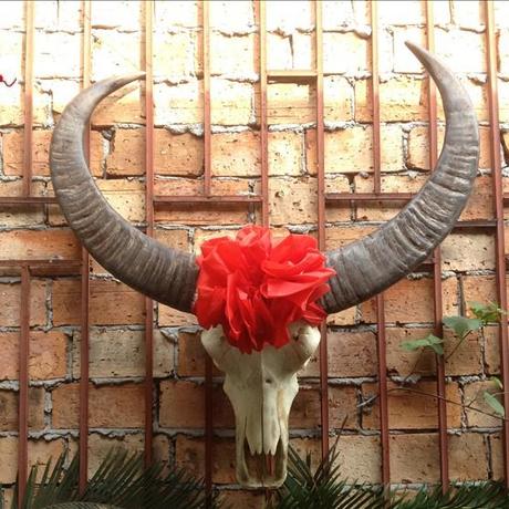 真牛头民族特色手工艺术品天然水牛头骨装饰品牛羊头骨标本牛角架