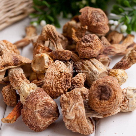 【巴西蘑菇】图片_价格_搭配分享 - 爱逛街