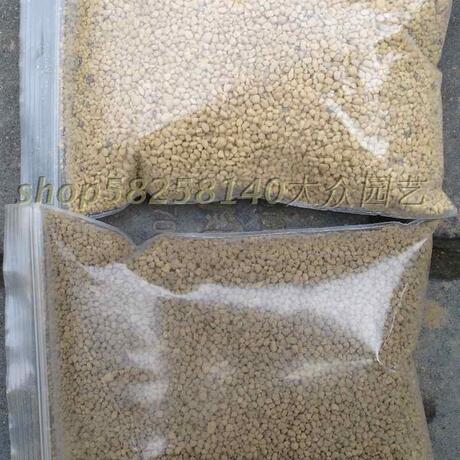 皇冠信誉 日本原装硬质 鹿沼土/赤玉土 1mm以下小颗粒,铺土表面