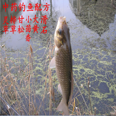 【百愈堂灵草集】_骨灵草胶囊图片_灵草香料价格_搭配分享 - 爱逛街