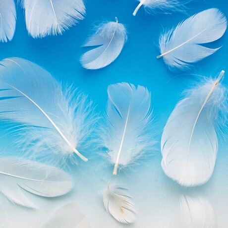 爱逛街为您找到羽毛图案墙纸相关的宝贝,您可以在下面的板块中挑选