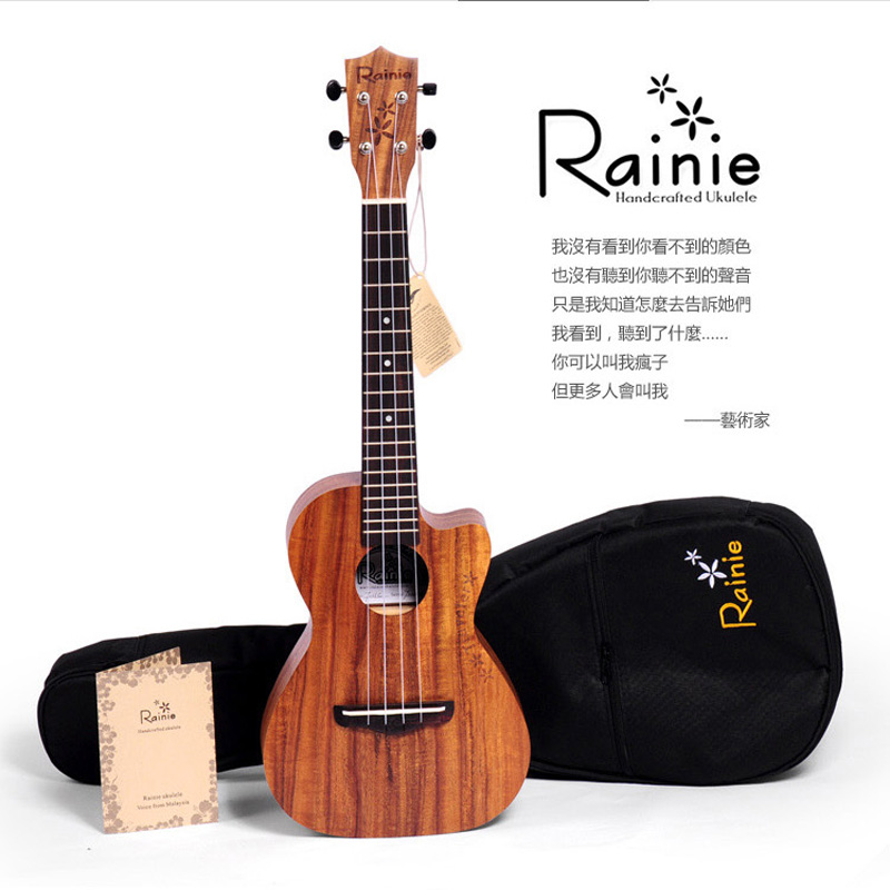 

Акустическая гитара Rainie TC-012345