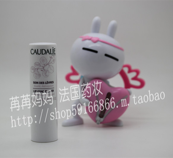 

Caudalie 4g