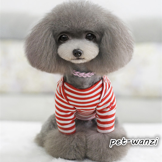 

Одежда для животных Cheepet
