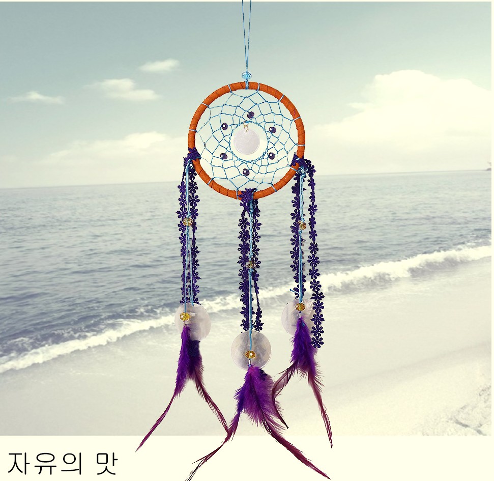 

Подвеска для дома Heirs to the same Dream Catcher
