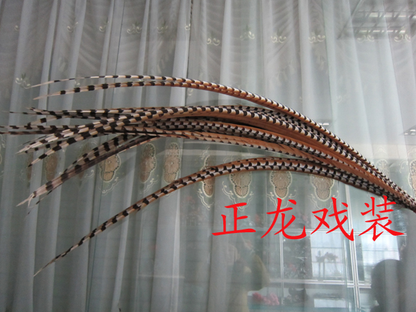 

Национальный костюм Zhenglong 2014