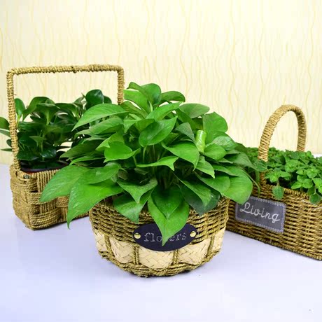 田园草编绿萝花盆 藤编插花篮子手工编织欧式室内多肉盆栽大花盆