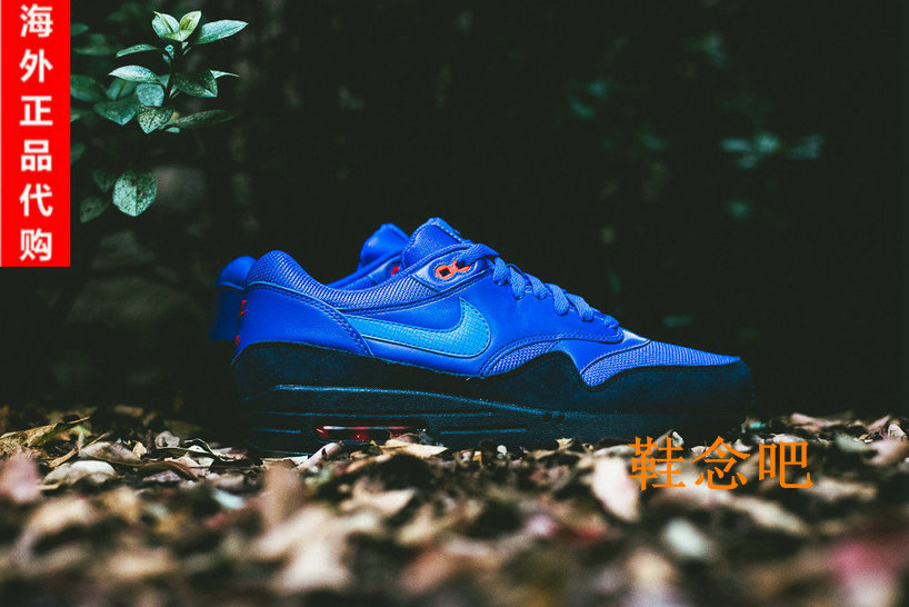 

кроссовки Nike Air Max FB Obisidian 579920 400