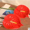 Товары от liang_mingde