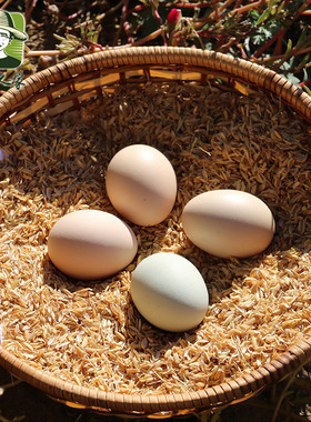 推荐   发布了  密农人家农家散养土鸡蛋 柴笨鸡蛋 草鸡蛋纯粮自养