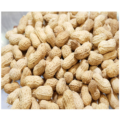 爱逛街为您找到散装炒货相关的宝贝,您可以在下面的板块中挑选喜欢的