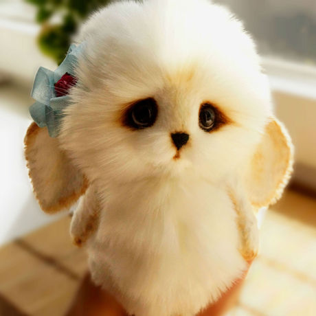 爱逛街为您找到大眼兔子相关的宝贝,您可以在下面的板块中挑选喜欢的