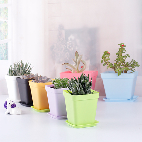 爱逛街为您找到塑料盆栽盆相关的宝贝,您可以在下面的板块中挑选喜欢