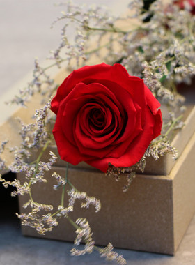 情人节保鲜花单朵1只支长枝红玫瑰永生花礼盒速递生日全国包邮