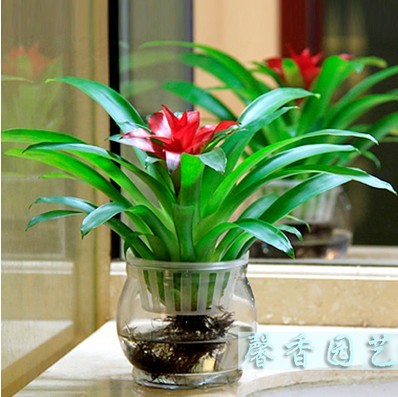 

Green view