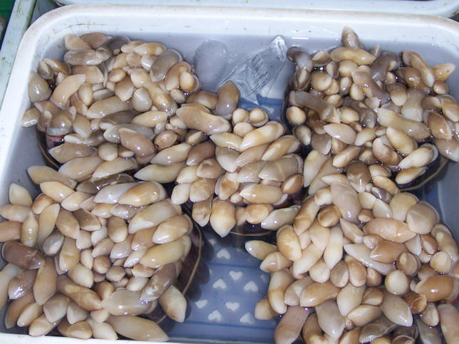 

Zhangzidao 500