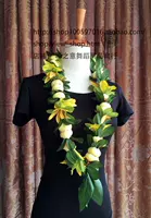 Гавайская травяная юбка танцевать кольцо танце