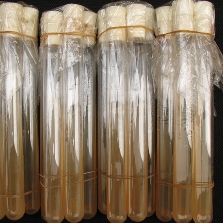 母种培养基斜面,pda培养基斜面,无菌斜面,带硅胶塞,10支起卖