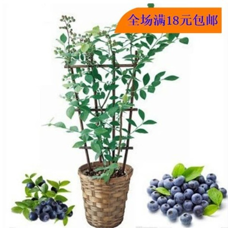 

Растения и деревья для сада Xu Jia Hua 8888