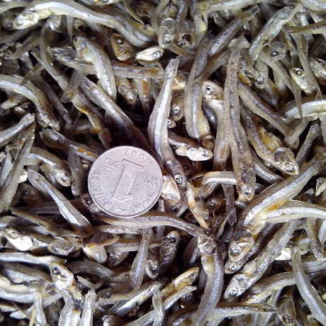 海南特级小丁香鱼,海燕鱼小银鱼淡咸,特价250g,量大批发优惠