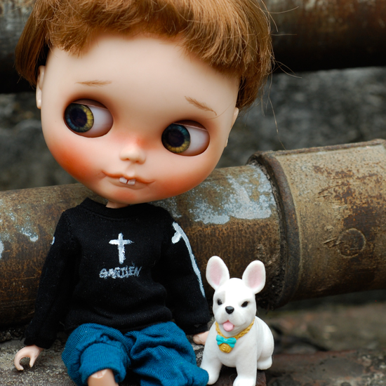 

кукла TaKaRa GARDENCAT Blythe/pullip