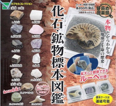 taobao agent Epoch, popular science dinosaur, sample, crystal