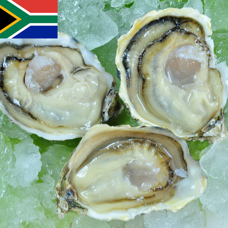 进口生蚝 南非l深海野生皇家纳米比亚12只鲜嫩肥美 生蚝新鲜