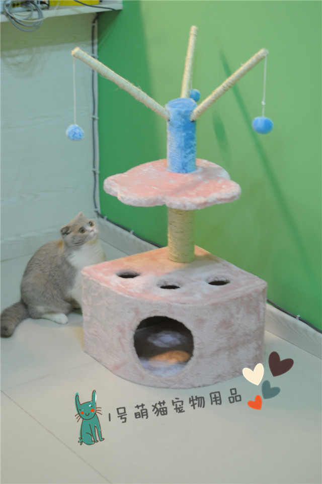 

кошко-комплекс Amy purchases qq80084