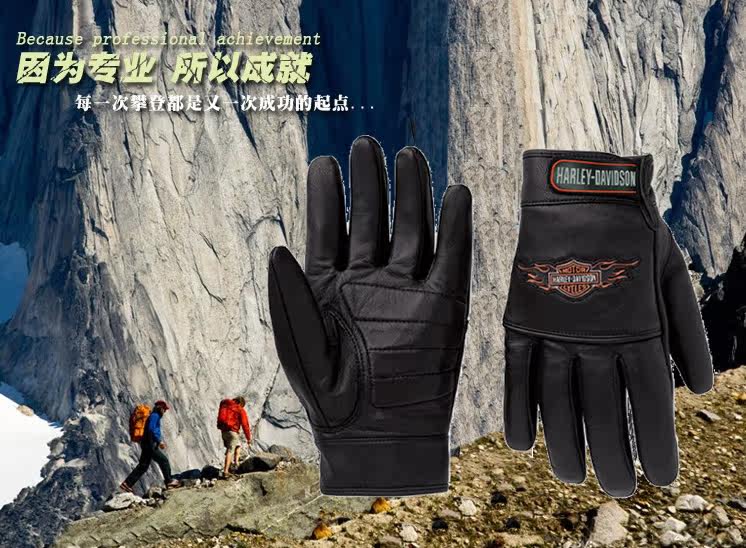 

Мотоперчатки Harley Davidson