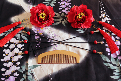 taobao agent Chinese hairpin with tassels, hair accessory, cosplay