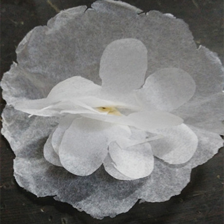 爱逛街为您找到白色纸花相关的宝贝,您可以在下面的板块中挑选喜欢的