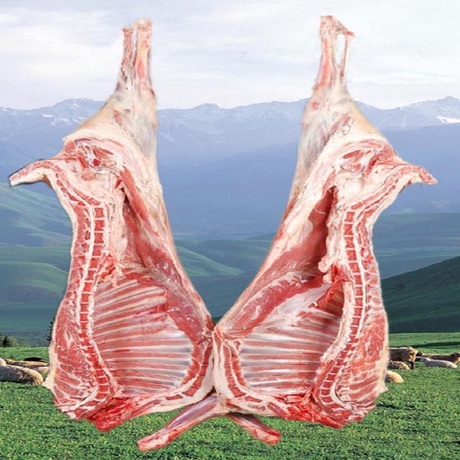 半只羊羔肉12斤重新鲜散装生肉新疆草原放牧绵羊清真清炖烧烤包邮