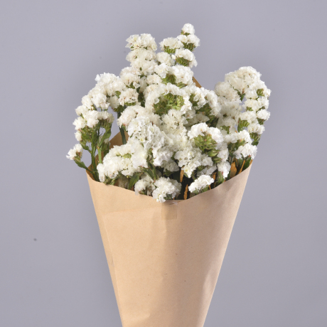 勿忘我 云南天然干花白色色永生花客厅装饰插花520情人节礼物拍摄