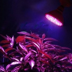 

LED-светильник The Greek star 3W LED 040107