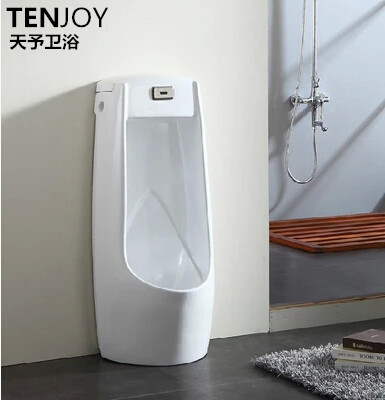 

Писсуар с автоматическим смывом Tenjoy day TENJOY